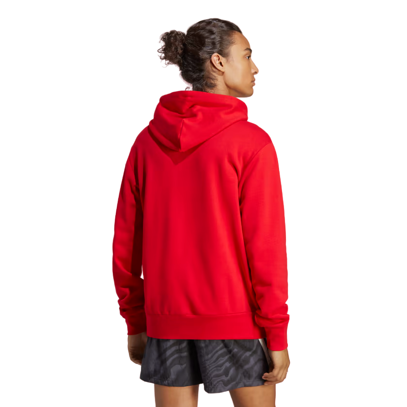 Adidas Men's Essentials Big Logo Hoodie IC9365 Red