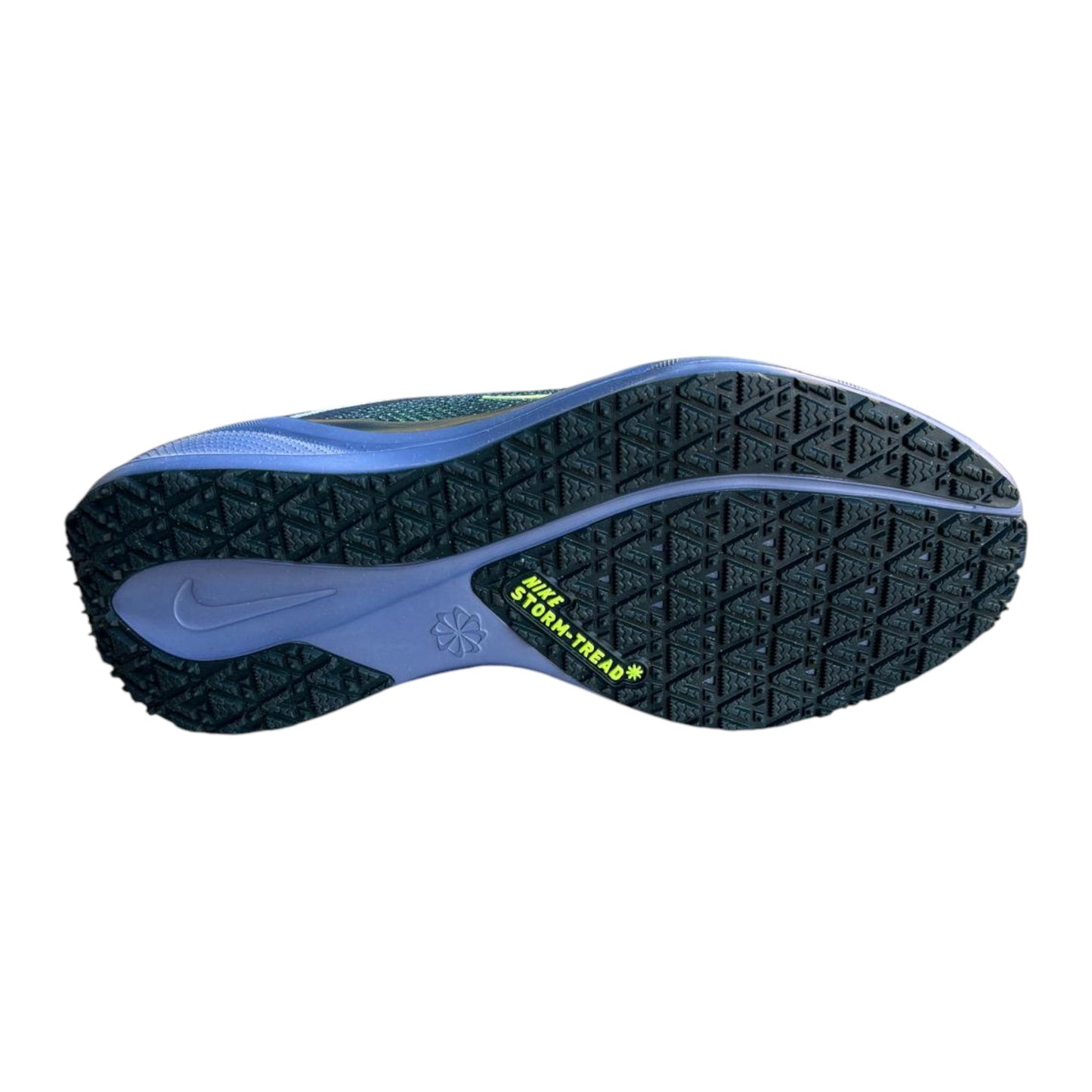 Nike Pegasus 41 Gore-Tex Uomo Cannon – Scarpe Running Impermeabili