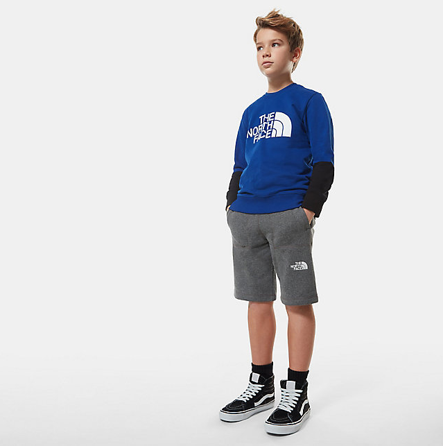 The North Face Drew Peak Light Crew boys' t-shirt NF0A492XVA61 blue