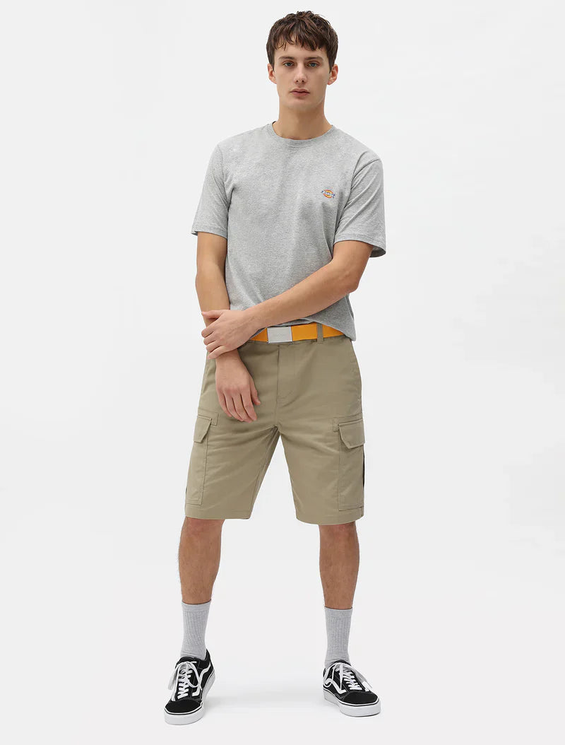 Dickies T-shirt manica corta da uomo  Mapleton DK0A4XDBGYM grey mela