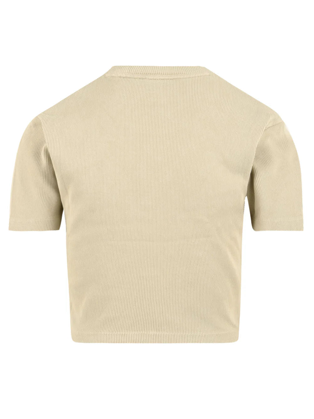 Dickies T-shirt a coste da donna Plentywood DK0A866FL441 beige