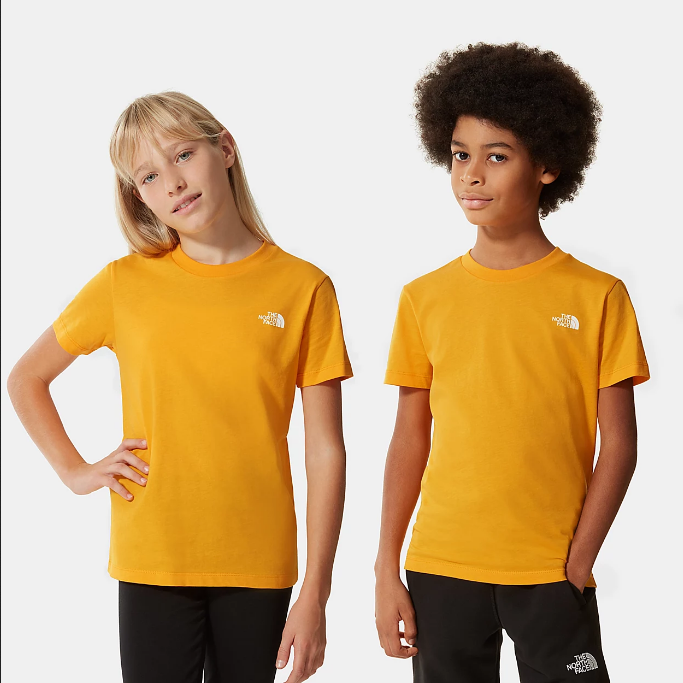 The North Face boys' short-sleeved t-shirt SS Simple Dome NF0A2WAN56P1 gold