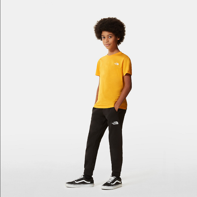 The North Face boys' short-sleeved t-shirt SS Simple Dome NF0A2WAN56P1 gold