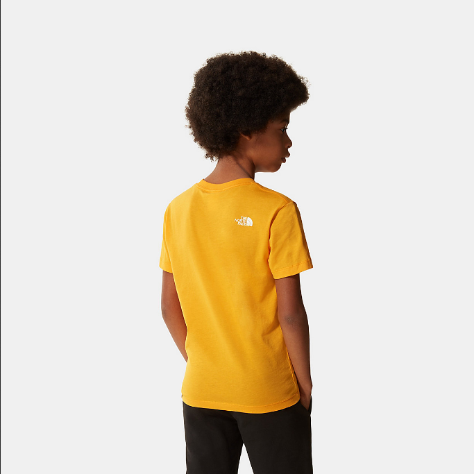 The North Face boys' short-sleeved t-shirt SS Simple Dome NF0A2WAN56P1 gold