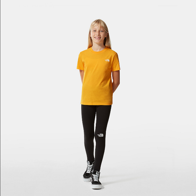 The North Face boys' short-sleeved t-shirt SS Simple Dome NF0A2WAN56P1 gold