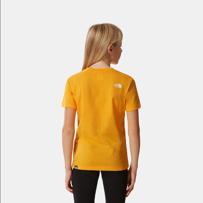The North Face boys' short-sleeved t-shirt SS Simple Dome NF0A2WAN56P1 gold
