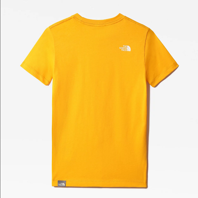 The North Face boys' short-sleeved t-shirt SS Simple Dome NF0A2WAN56P1 gold