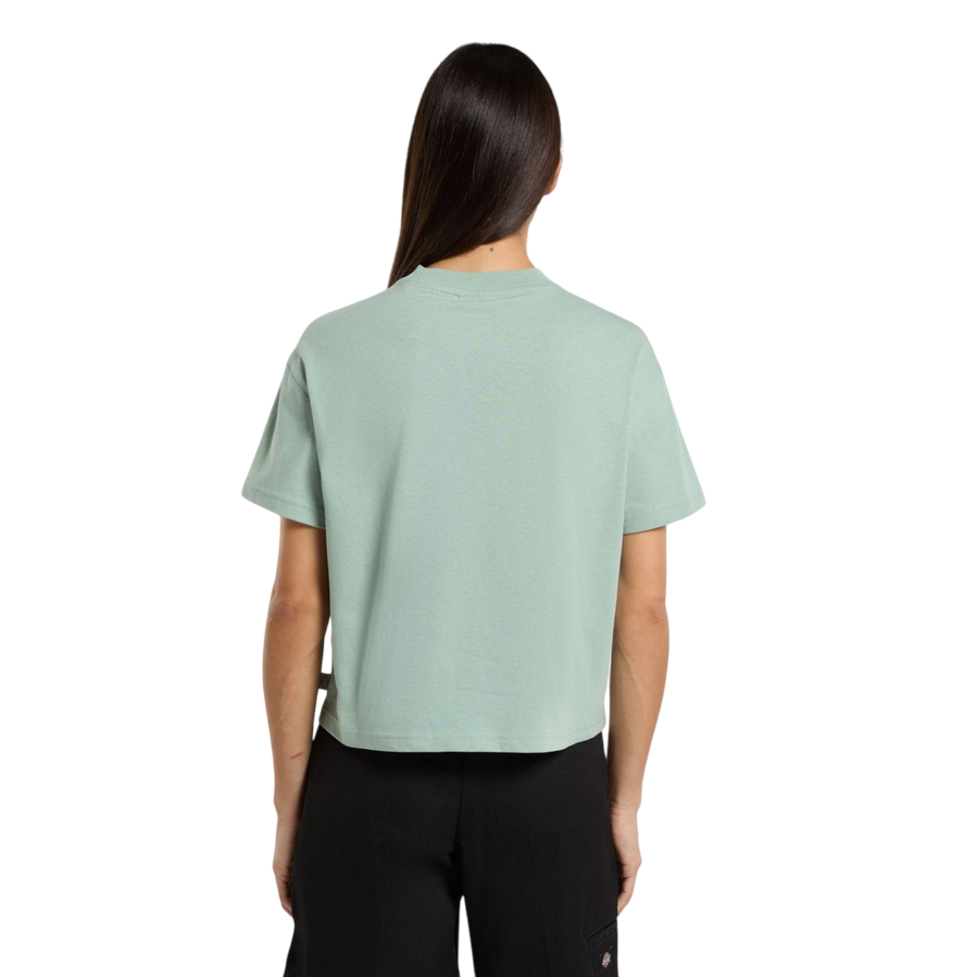 Dickies maglietta manica corta da donna Oakport DK0A4XEDBLK361 salvia