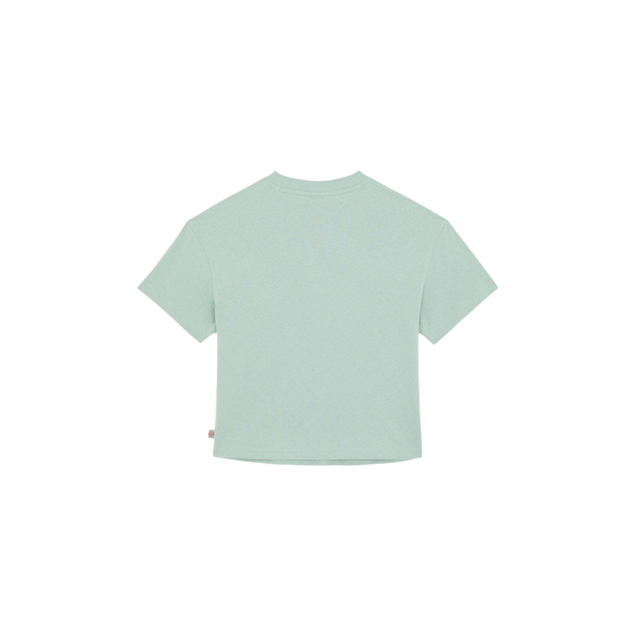 Dickies maglietta manica corta da donna Oakport DK0A4XEDBLK361 salvia