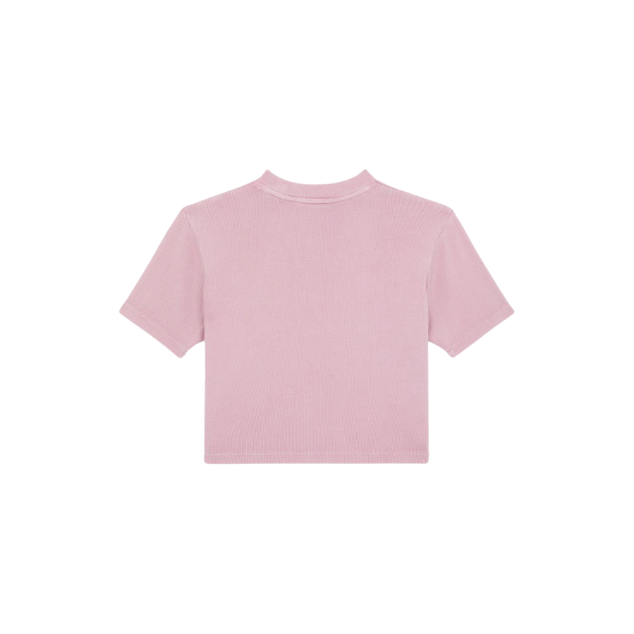 Dickies maglietta manica corta da donna a coste Plentywood DK0A866FK391 rosa
