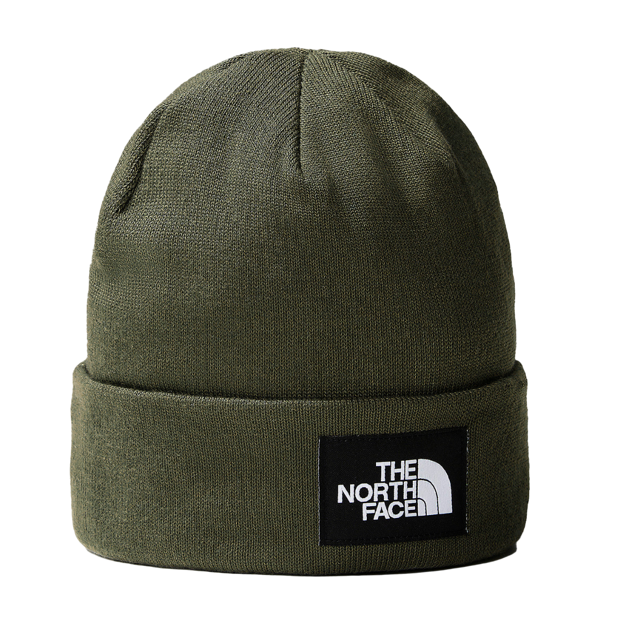 The North Face Dockworker Beanie NF0A3FNT21L Green