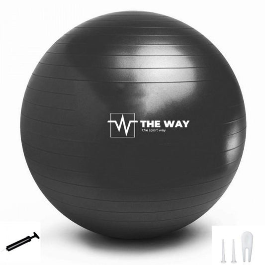 TheWay Fitness FIT-ABTB anti burst pompa inclusa 65cm